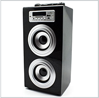 COLUNA AMPLIFICADA PORTATIL BIWONDS - FM/MP3/USB/SD/AUX (PRETA)